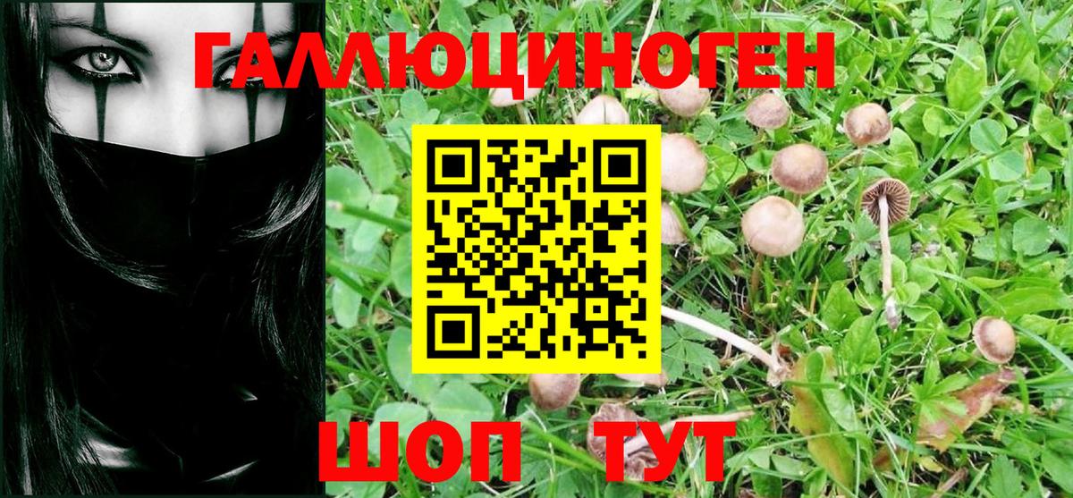 Псилоцибиновые грибы GOLDEN TEACHER Воскресенск